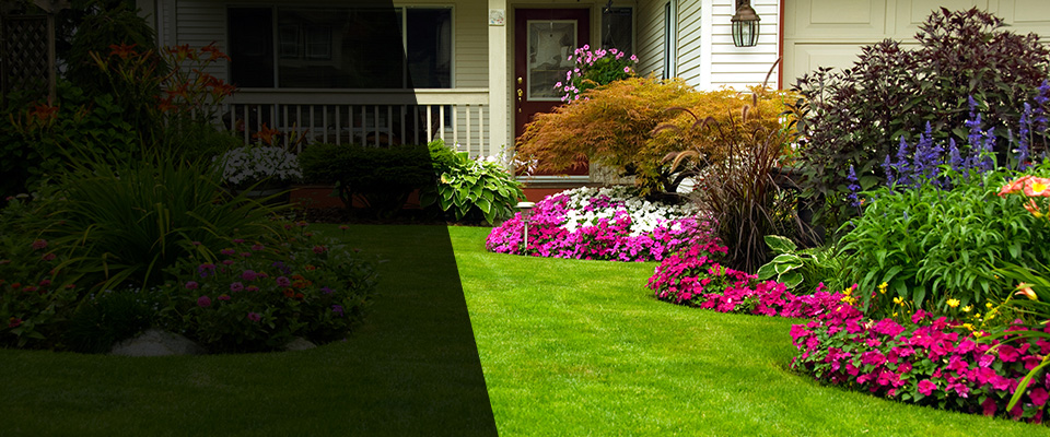 Carmel Landscapers