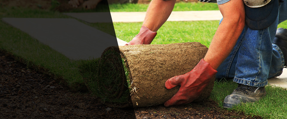 Carmel Landscapers
